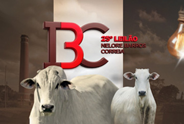 25º LEILÃO IBC - NELORE BARROS CORREIA